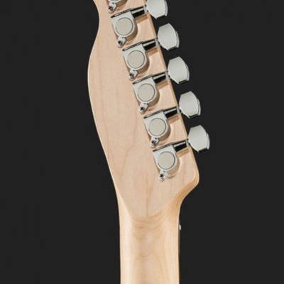 Harley Benton TE-20 SB Standard Series