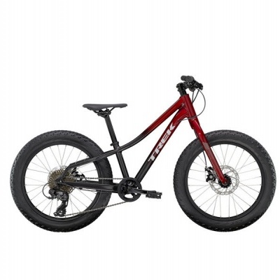 Bicicleta Roscoe 20 Vermelho / Preto