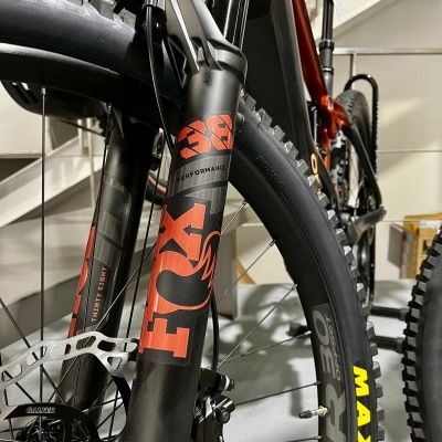 Orbea Wild M20  c/ Upgrade FOX 38