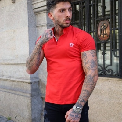 https://www.galerias-martins.pt/product/polo-vermelho-3