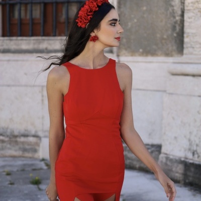 Hortênsias Vermelhas