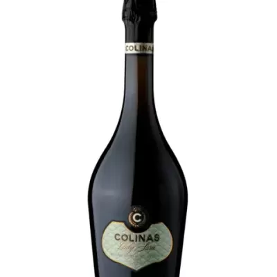 Espumante Colinas Lady Sara Blanc De Blancs 2015