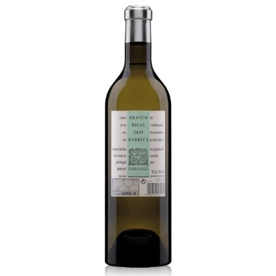 Campolargo Bical Tonel Barrica Branco 2022