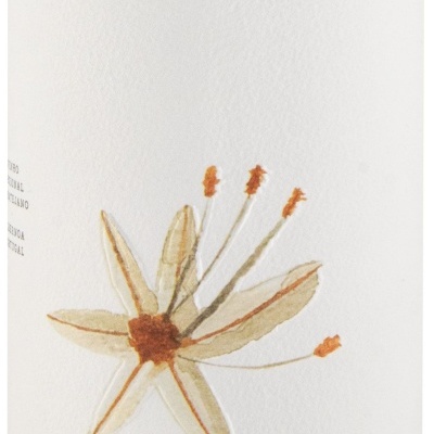 Monte da Peceguina Branco 2024