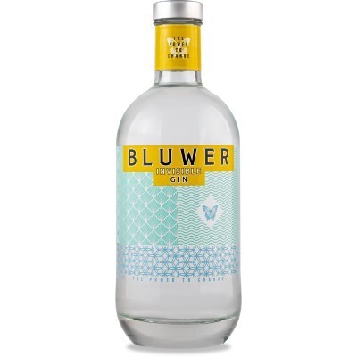 Gin Bluwer Invisible