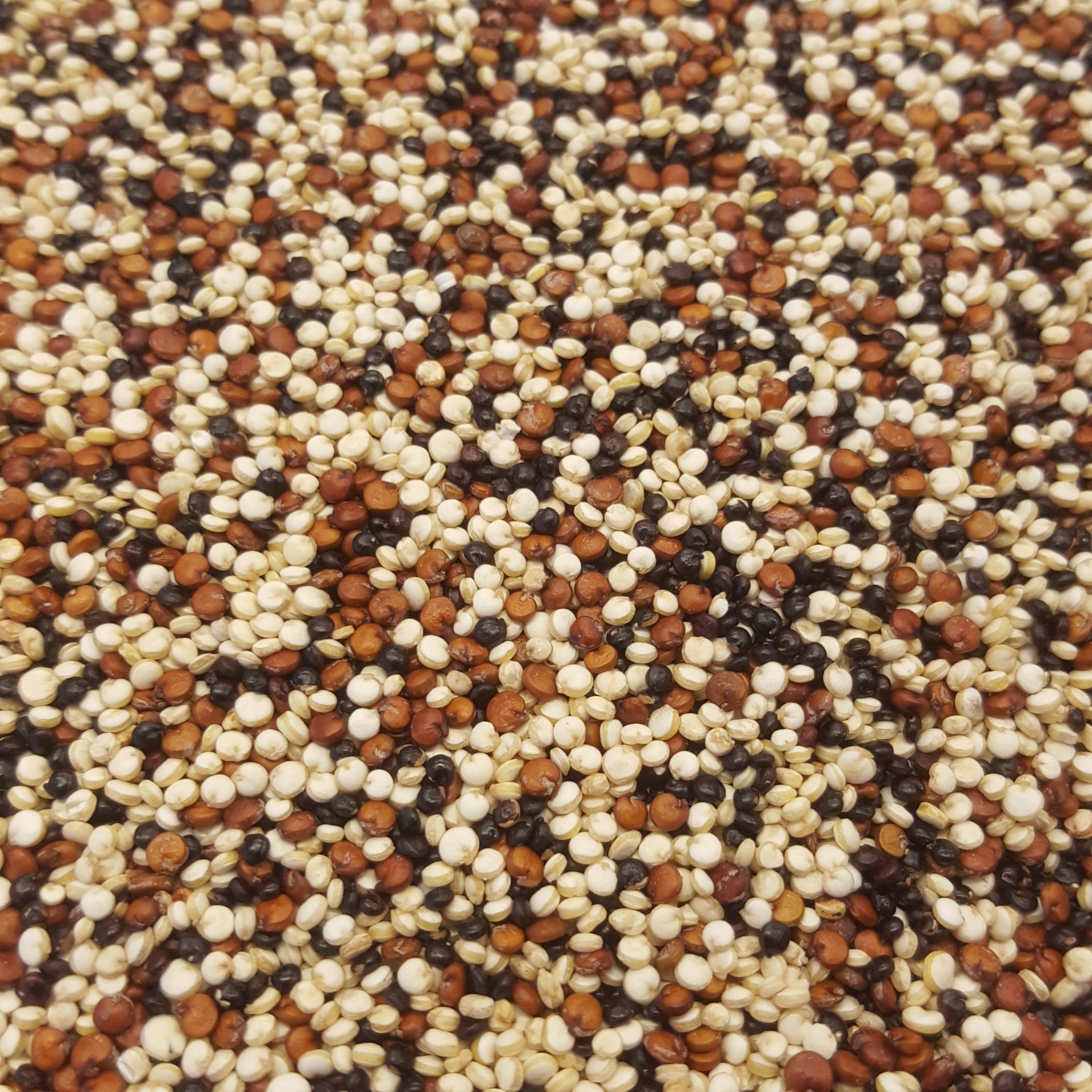 Mistura&#x20;De&#x20;Quinoa