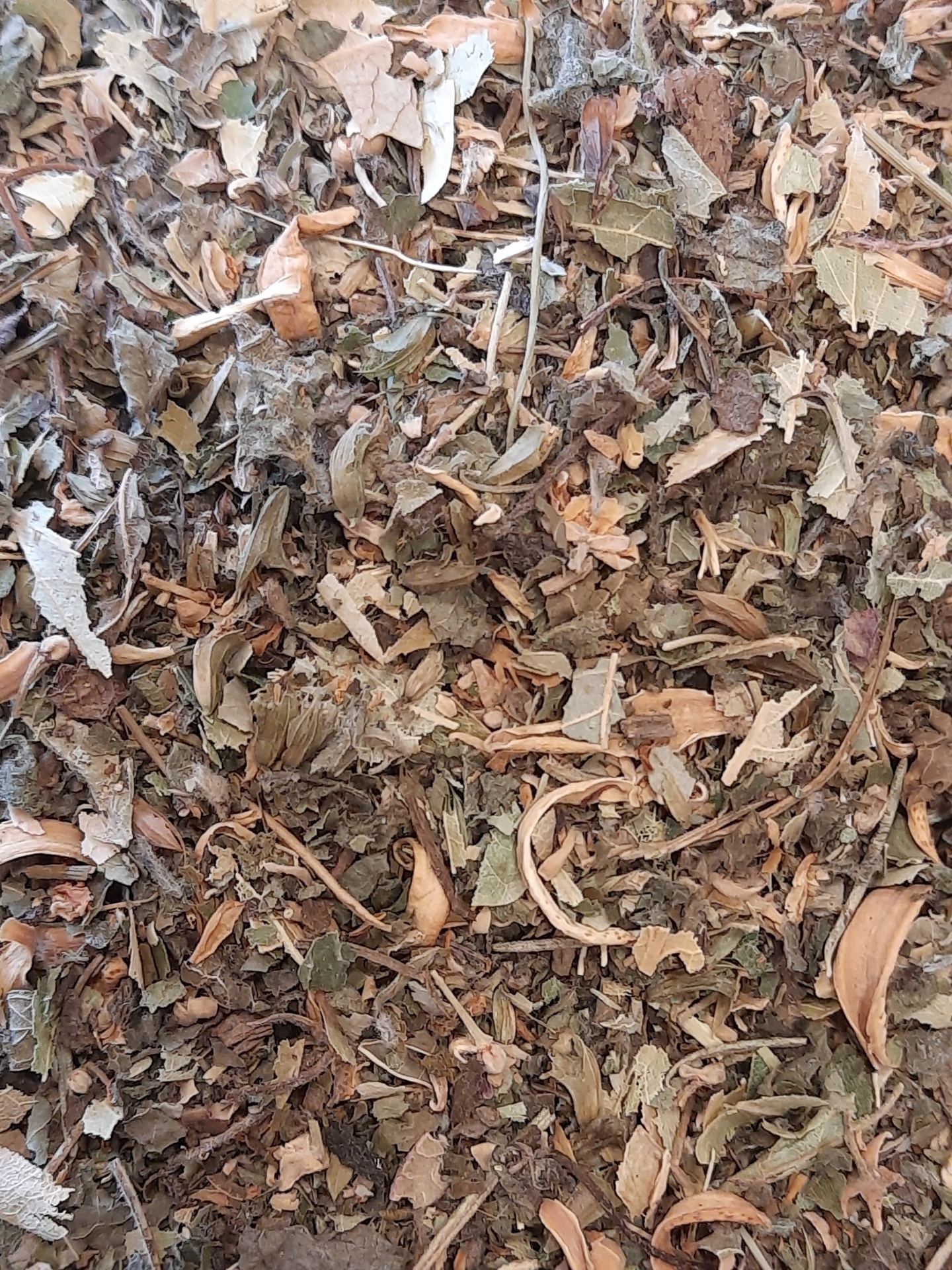 Ch&#x00E1;&#x20;Relaxante