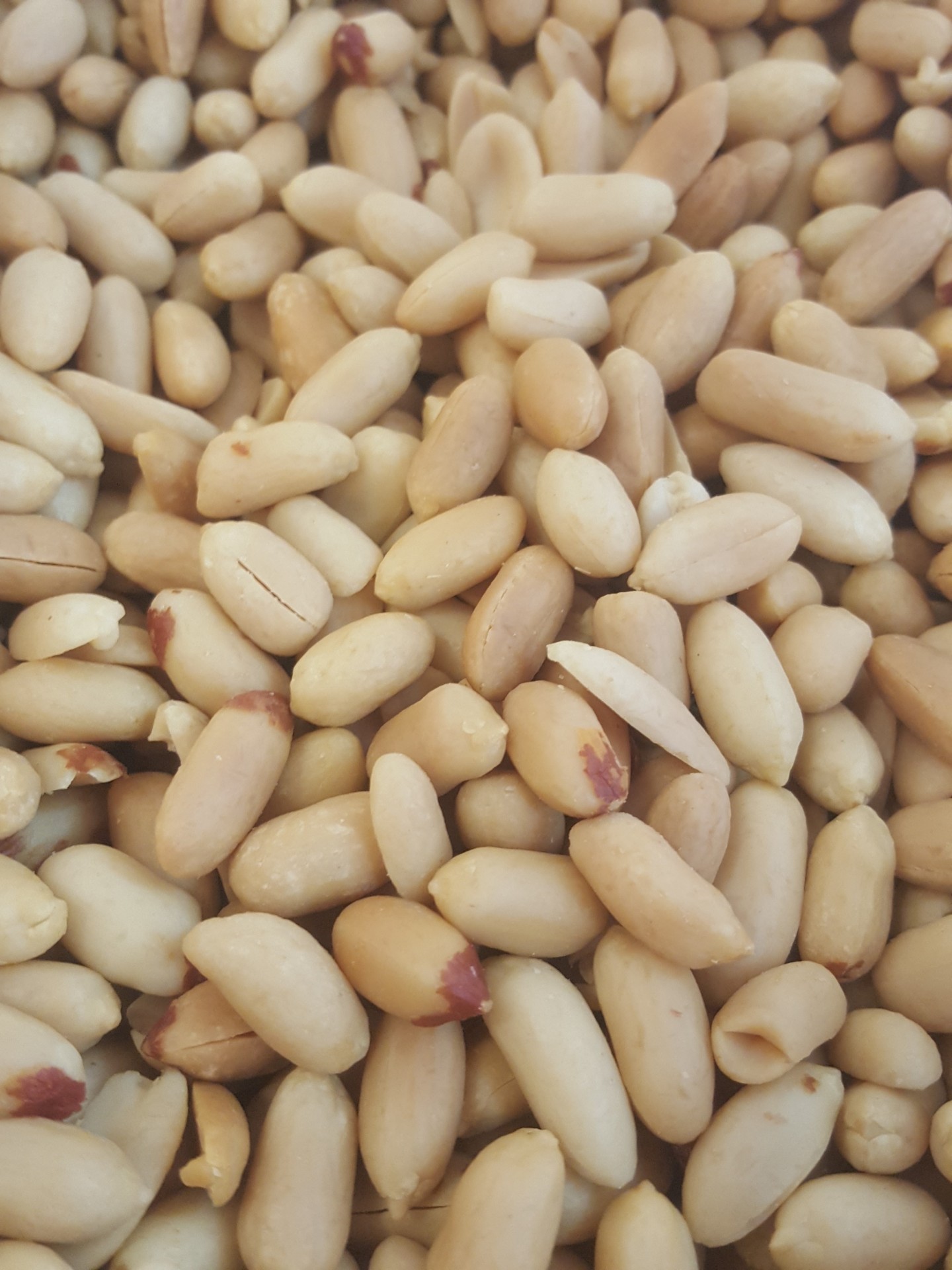 Amendoim&#x20;Torrado&#x20;s&#x2F;&#x20;sal