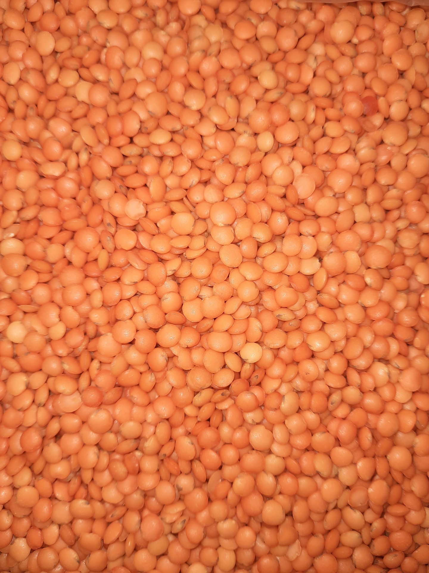 Lentilhas&#x20;Sem&#x20;Casca