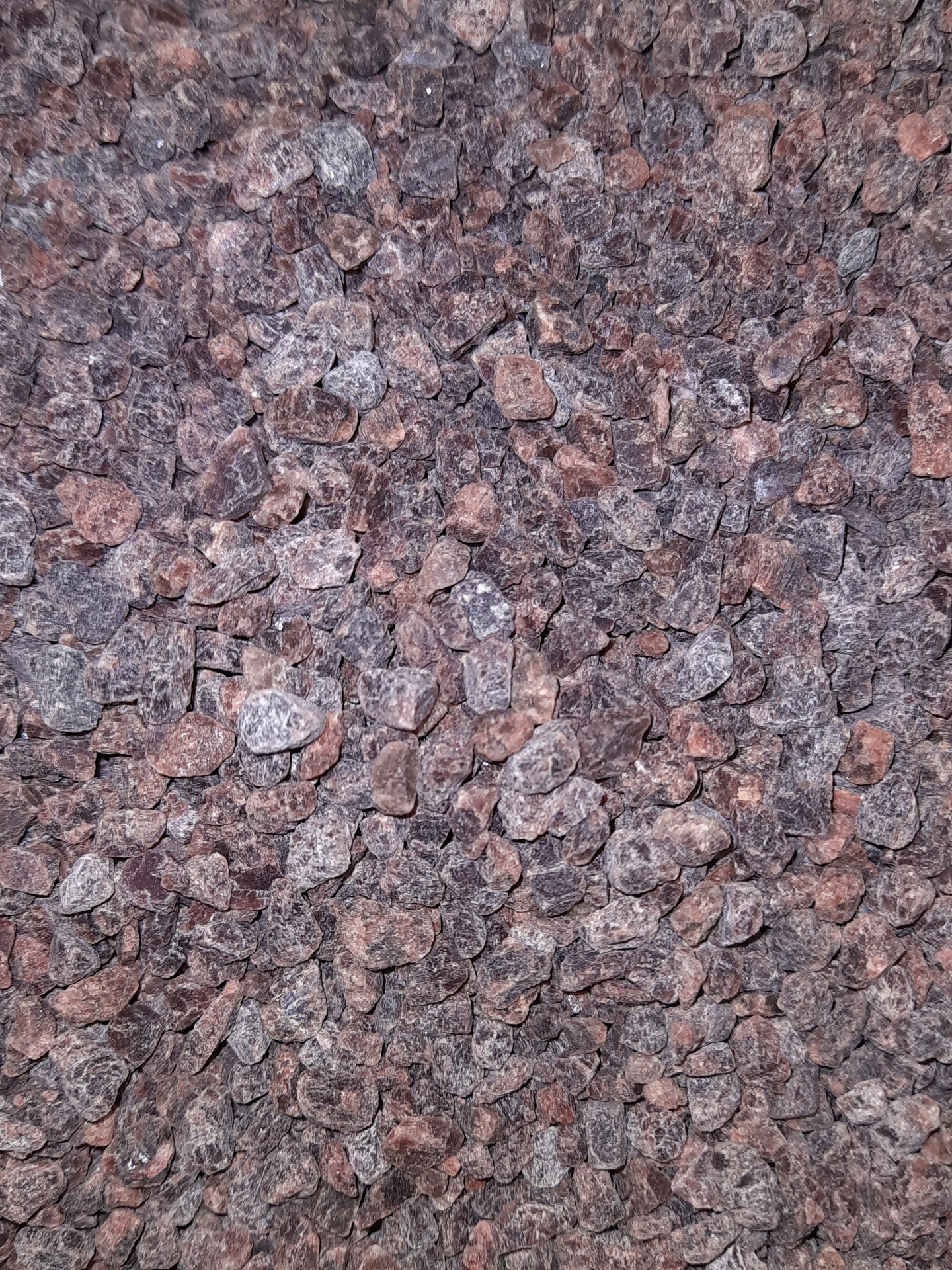 Sal&#x20;Preto&#x20;Grosso&#x20;Dos&#x20;Himalaias