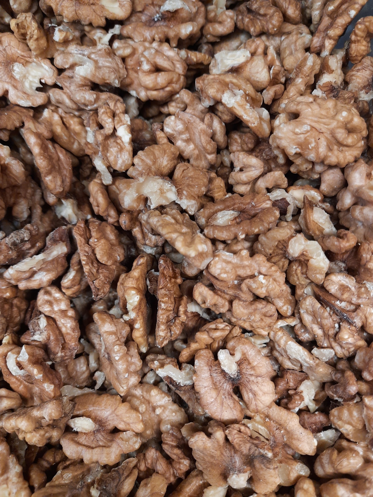 Miolo&#x20;Noz&#x20;Nacional