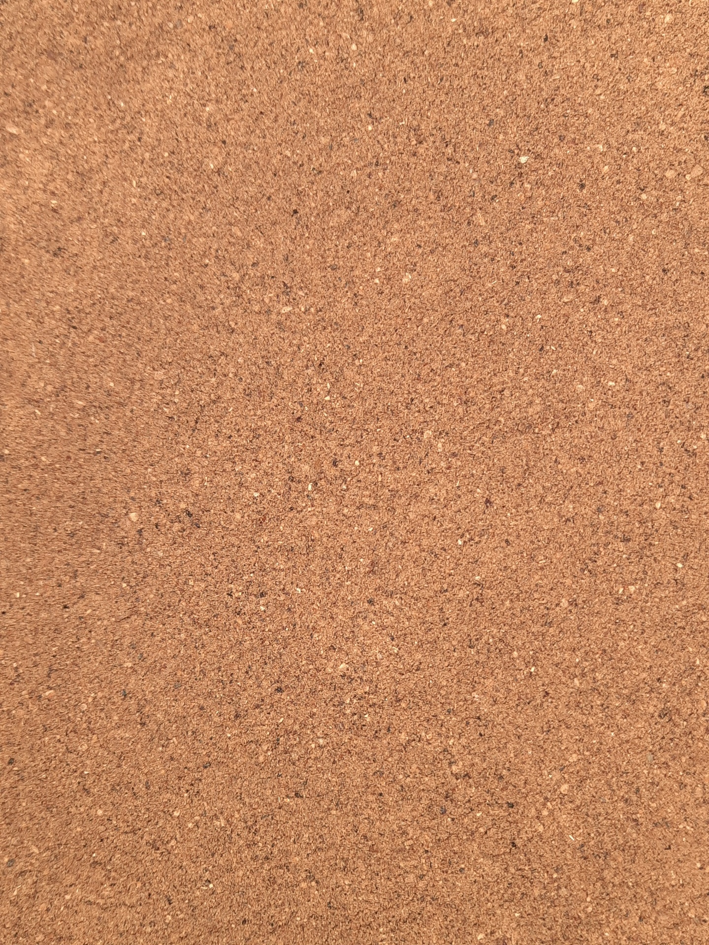 Noz&#x20;Moscada&#x20;Mo&#x00ED;da