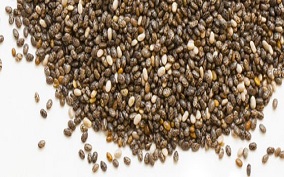 Semente de Chia