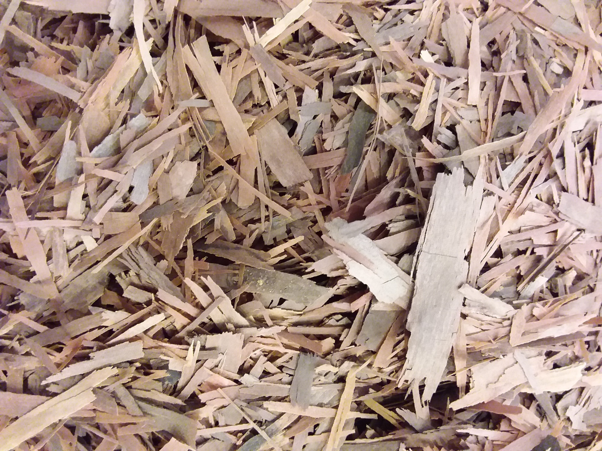 Ch&#x00E1;&#x20;Pau&#x20;D&#x00B4;Arco