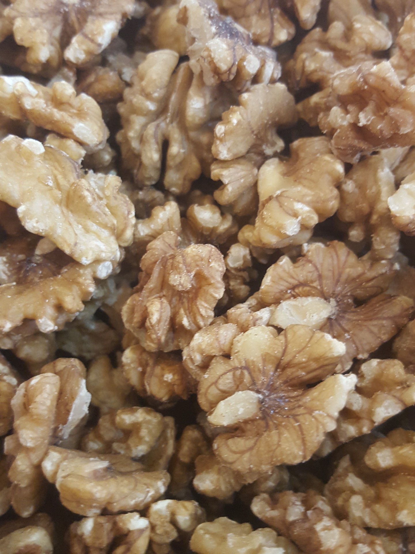 Miolo&#x20;De&#x20;Noz&#x20;Importada