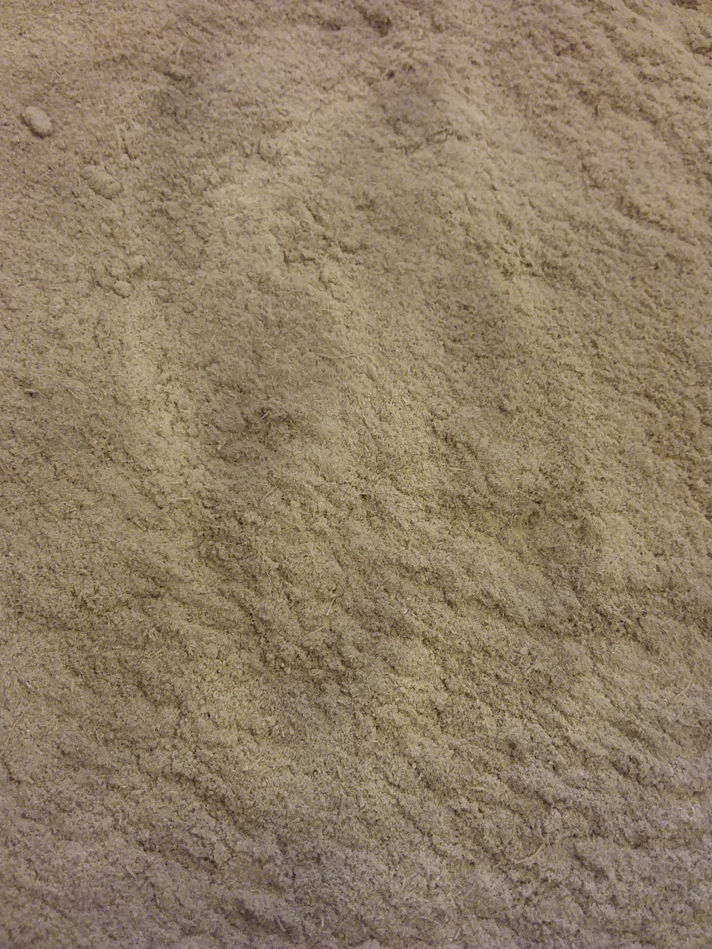 Cardamomo&#x20;Mo&#x00ED;do