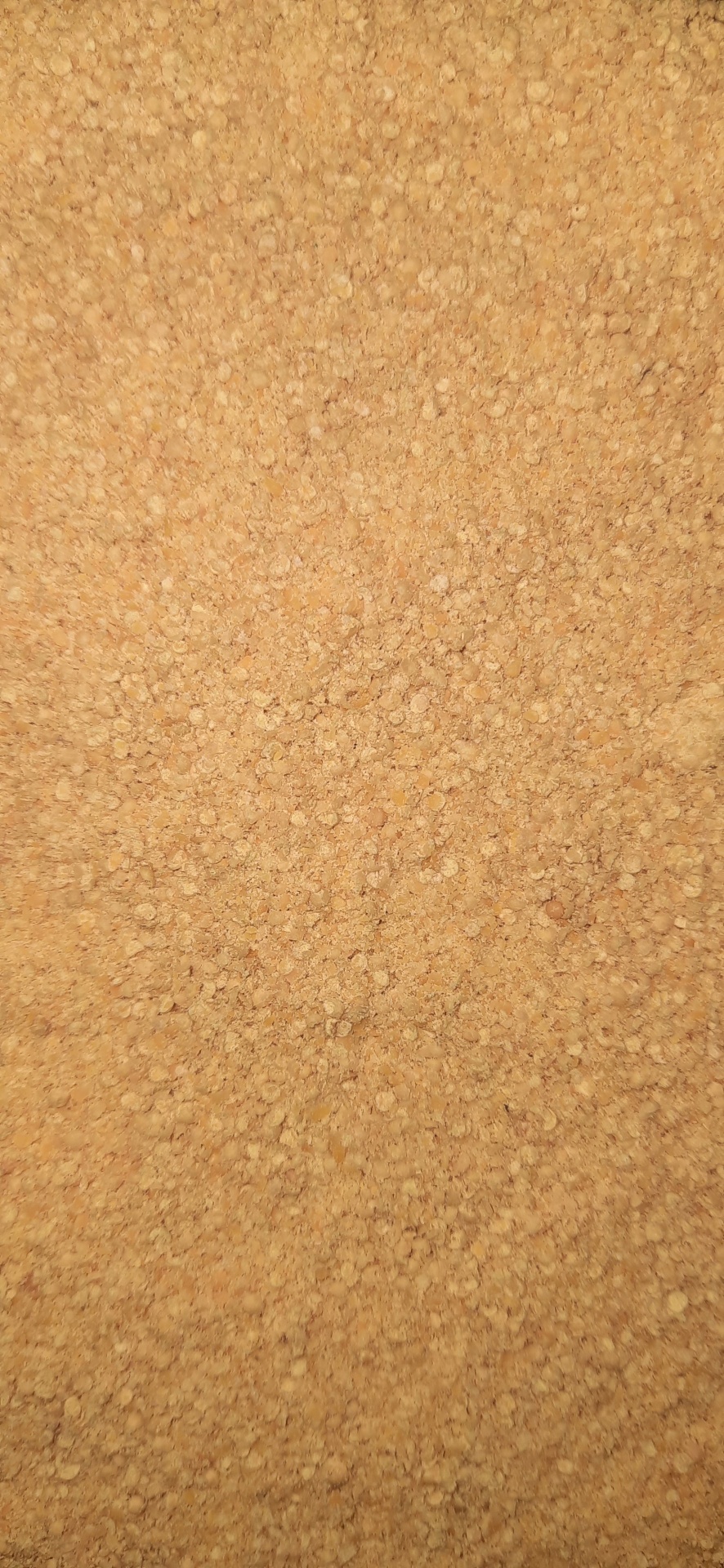 Mostarda&#x20;Amarela&#x20;Mo&#x00ED;da