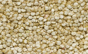 Semente de Quinoa Branca Nacional