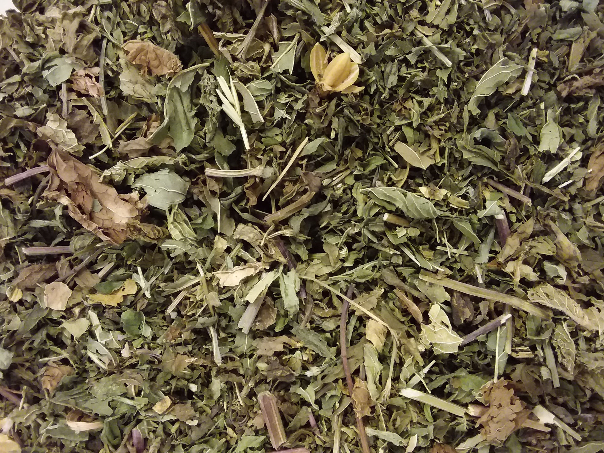 Ch&#x00E1;&#x20;Hortel&#x00E2;&#x20;Pimenta