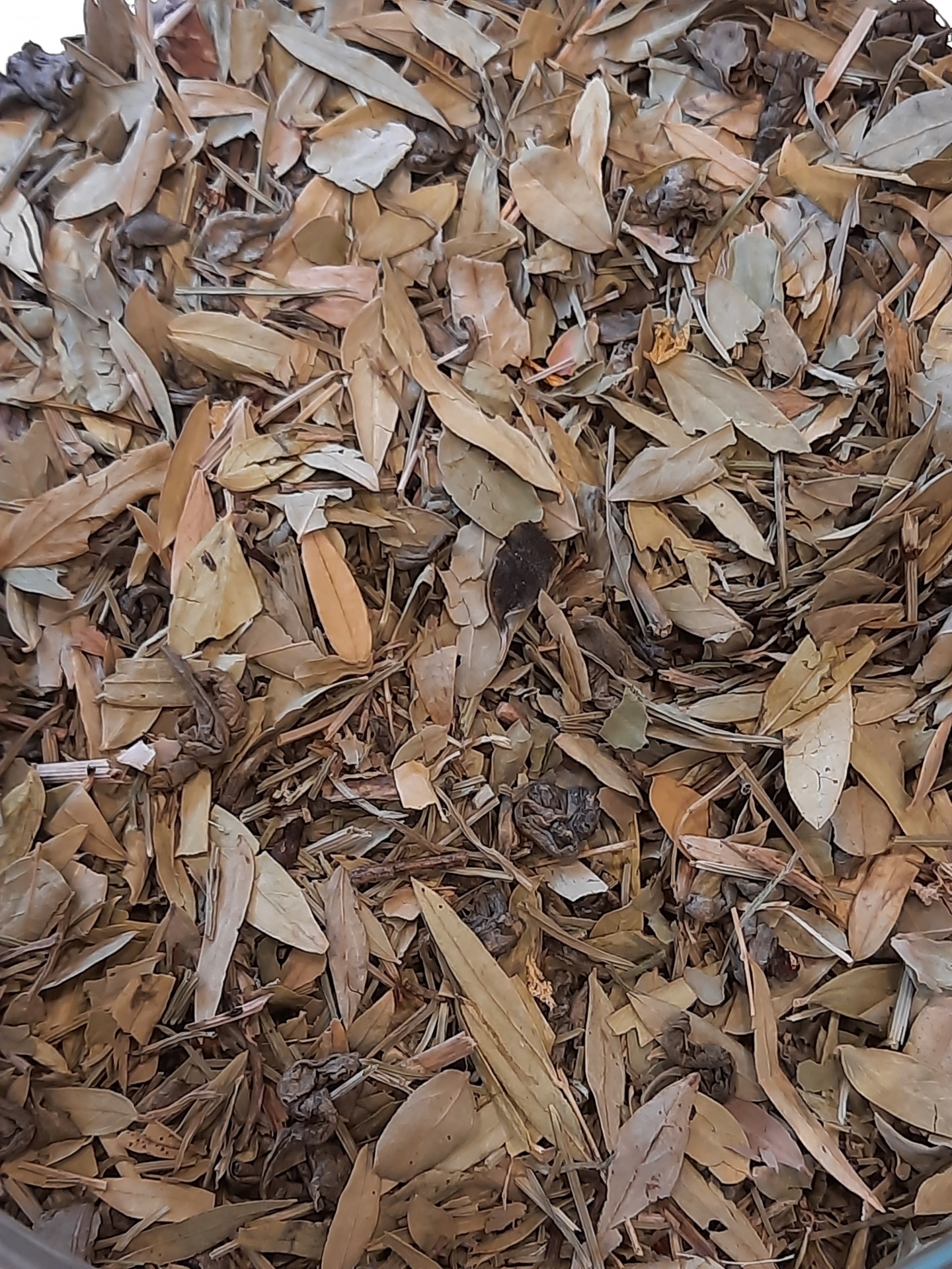 Ch&#x00E1;&#x20;Laxoplant