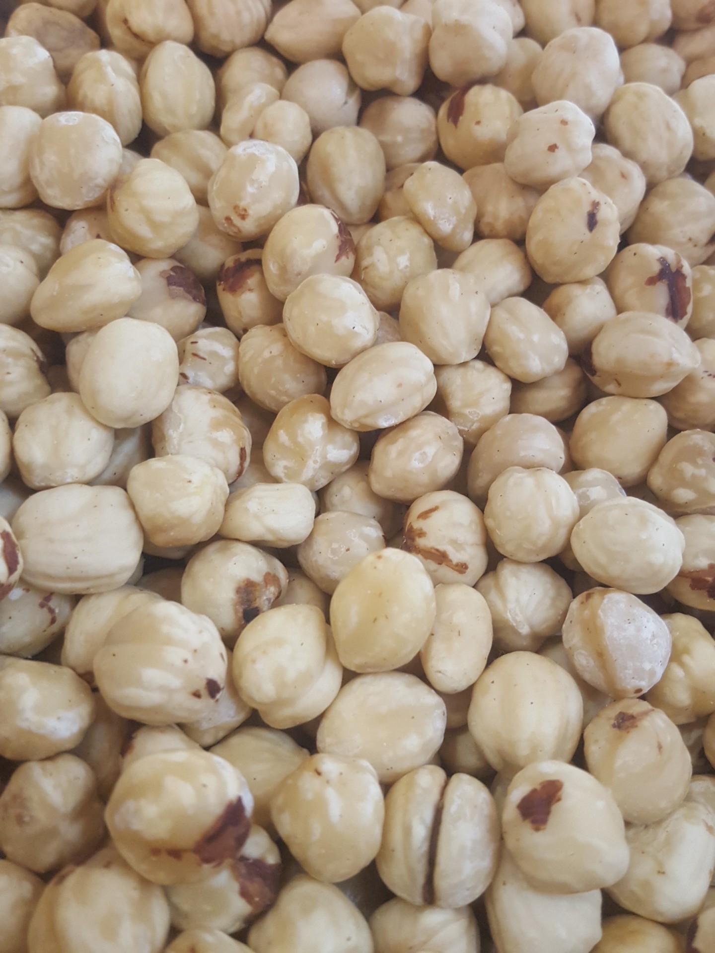 Miolo&#x20;De&#x20;Avel&#x00E3;&#x20;Sem&#x20;Pele