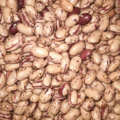 Feij&#x00E3;o&#x20;Catarino