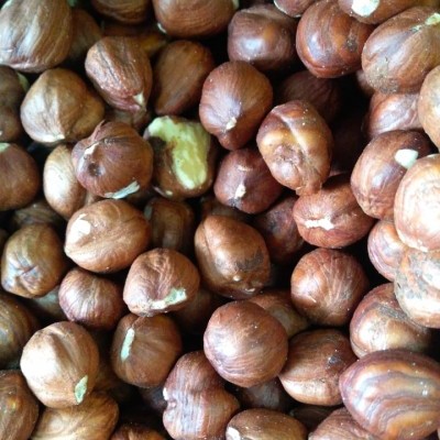 Miolo&#x20;De&#x20;Avel&#x00E3;