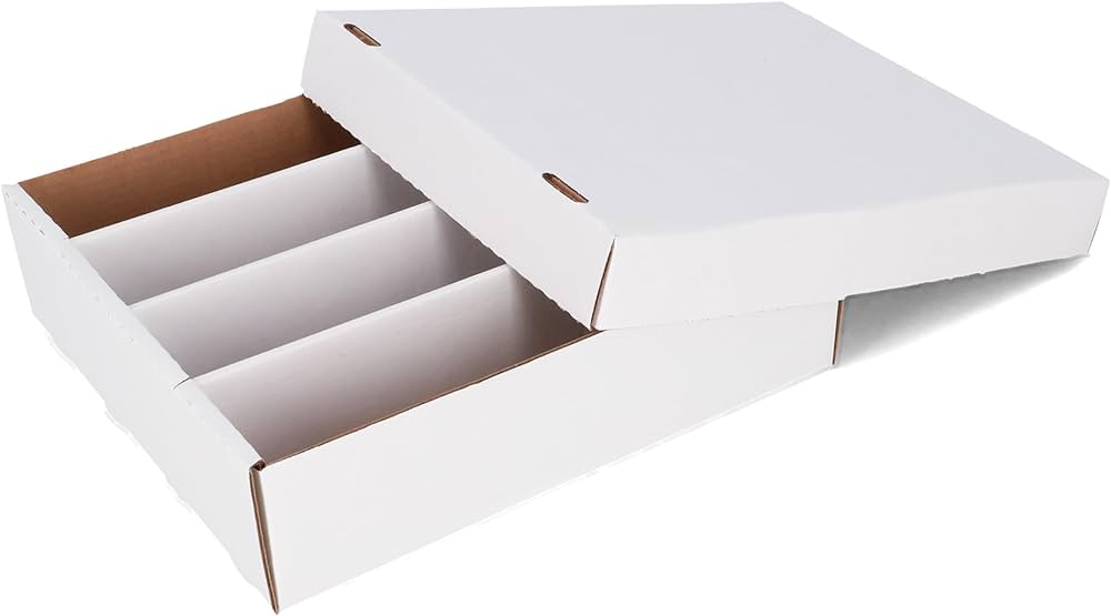 Caixa de cartão branca com divisórias internas