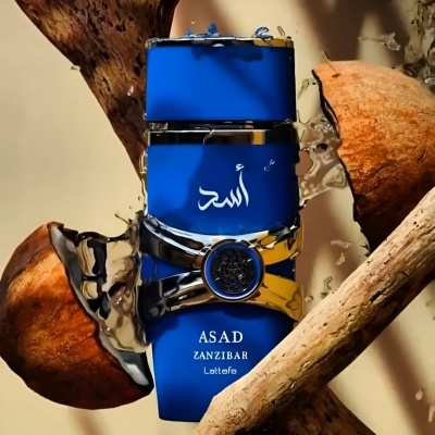 Asad ZANZIBAR Man | Lattafa 100ml  (Original)