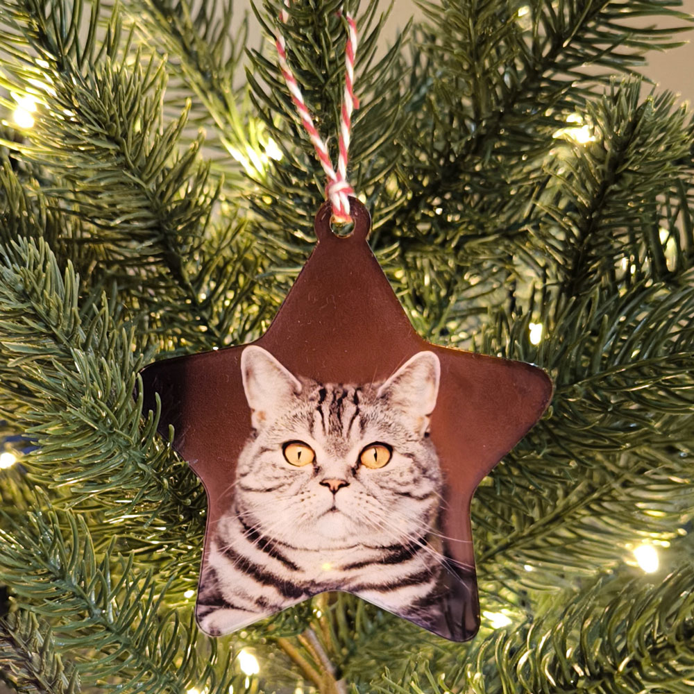 Enfeite de estrela com imagem de gato pendurado em árvore de Natal