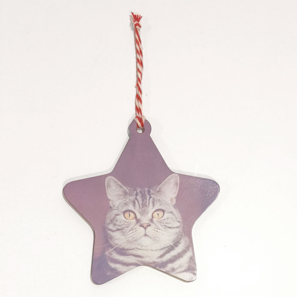 Enfeite estrela com gato cinzento e corda vermelha e branca