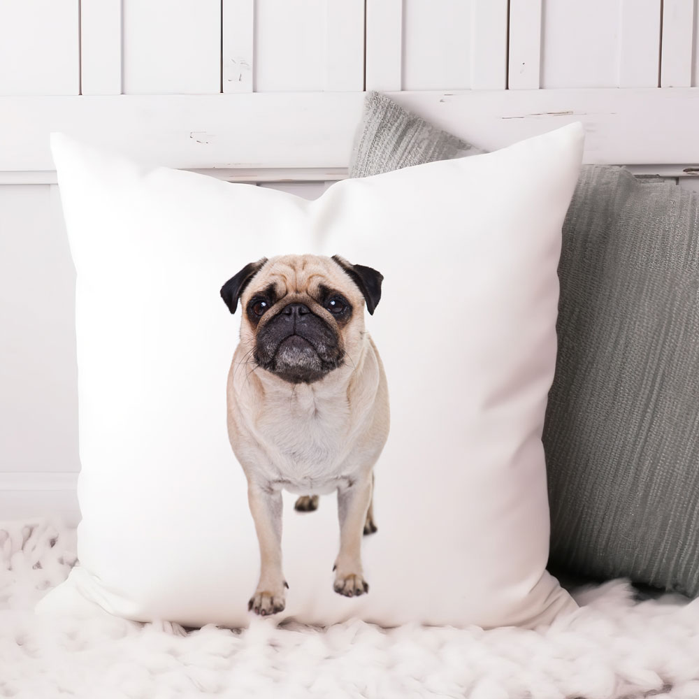 Almofada com foto de Animal de Estimação