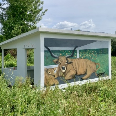 Casota branca com pintura mural de vacas castanhas deitadas em campo verde