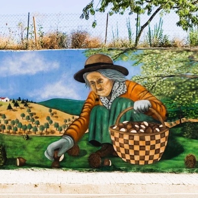 Apanha da castanha (Bragança)