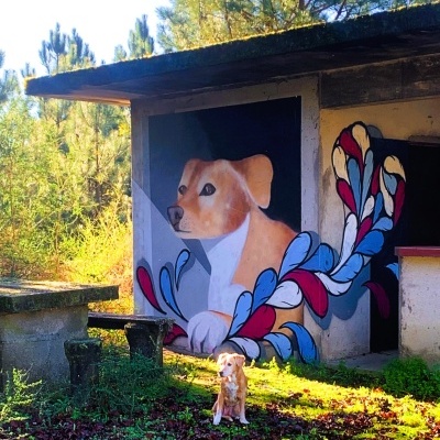 Cusca (Arcos de Valdevez)