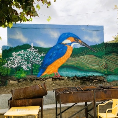 Guarda rios e comboio do Douro (Custoias do Douro)