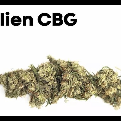 Life Flores de CBD Alien CBG
