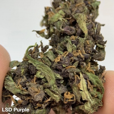 Quantum CBD LSD Purple white edition 1G