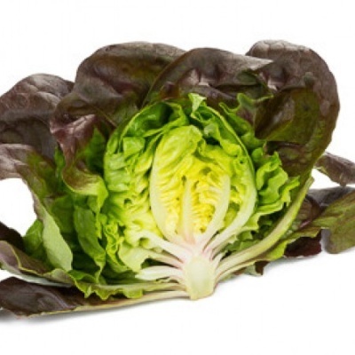 https://www.groho.es/product/lechuga-lisa-roja https://www.groho.es/product/lechuga-lisa-roja