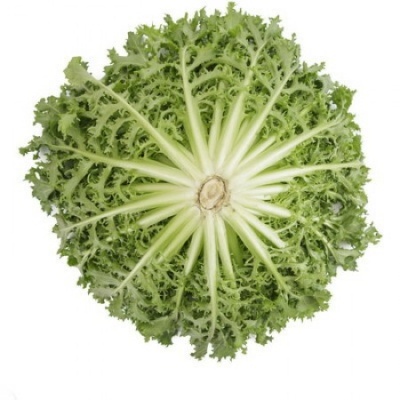 Achicoria Crispy (50 un)