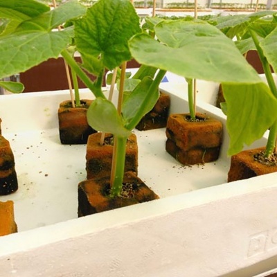 Tablero Espuma Fenólica 2x2x2.4