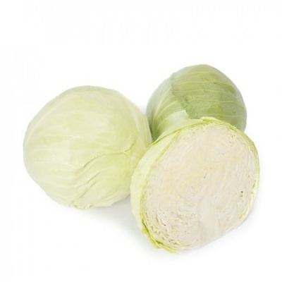 https://www.groho.es/product/semillas-hibridas-repollo-secoma https://www.groho.es/product/semillas-hibridas-repollo-secoma