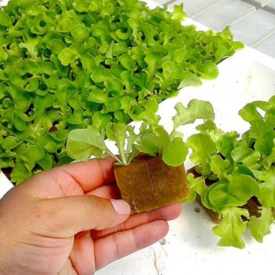 Caja Espuma Fenólica 2x2x2.4