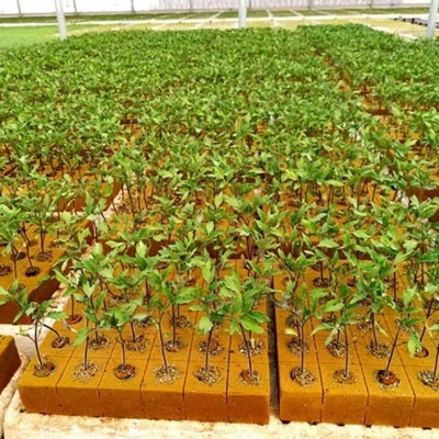 Tablero Espuma Fenólica 2x2x2.4