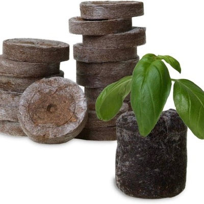 https://www.groho.es/product/tabletas-de-turba-prensada-jiffy https://www.groho.es/product/tabletas-de-turba-prensada-jiffy