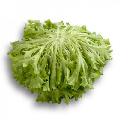 https://www.groho.es/product/lechuga-verde-ondulada-desirade https://www.groho.es/product/lechuga-verde-ondulada-desirade