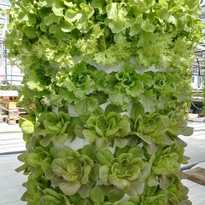 Torre Aeroponía - 120 plantas