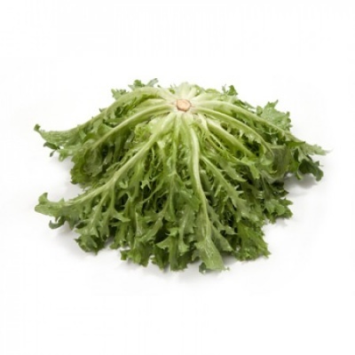 https://www.groho.es/product/semillas-peletizadas-achicoria-korbi https://www.groho.es/product/semillas-peletizadas-achicoria-korbi
