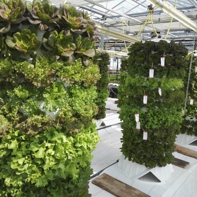 Torre Aeroponía - 120 plantas