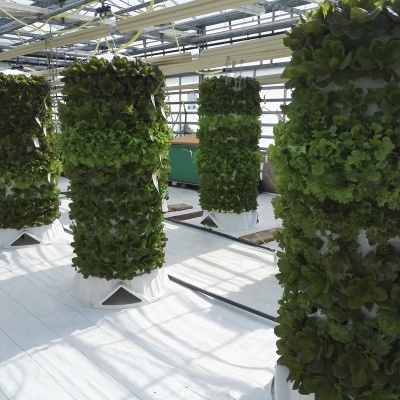 Torre Aeroponía - 120 plantas